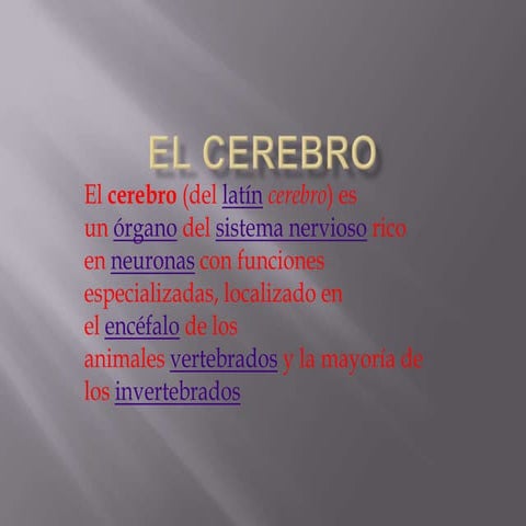 El cerebro