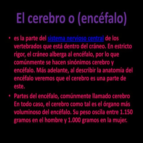 El cerebro exposicion