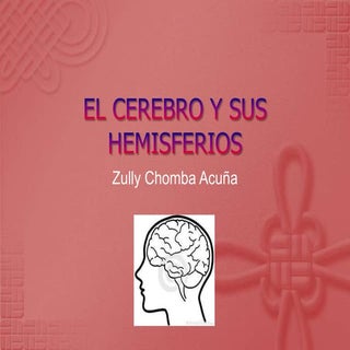 El cerebro y sus hemisferios