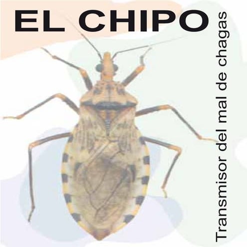 El chipo (imt 2010) | PDF