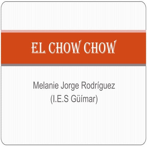 El chow chow