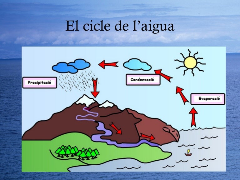 El cicle de l'aigua