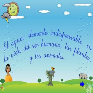 Importancia del agua