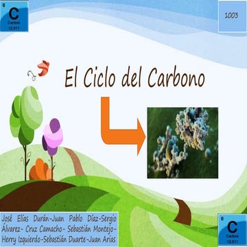 El ciclo de carbono