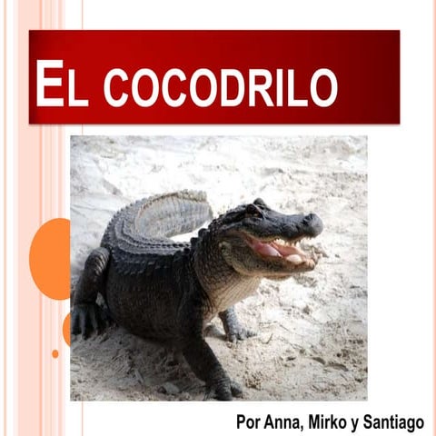 El cocodrilo  - por Anna, Mirko y Santiago