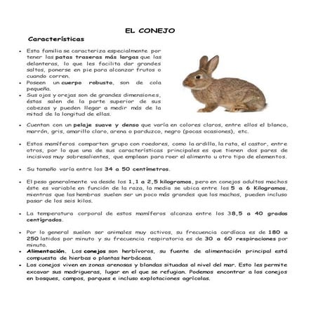 Mapa conceptual reinos (ciencias naturales) | DOCX