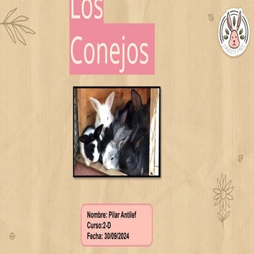 Presentacion el mundo de los conejos | PPTX