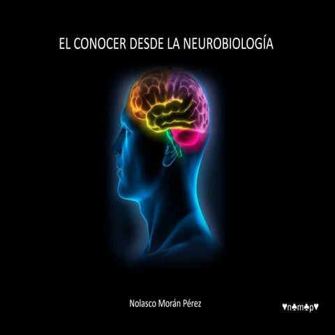 El conocer desde la neurobiología