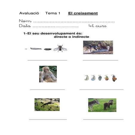 El creixement. Avaluació.