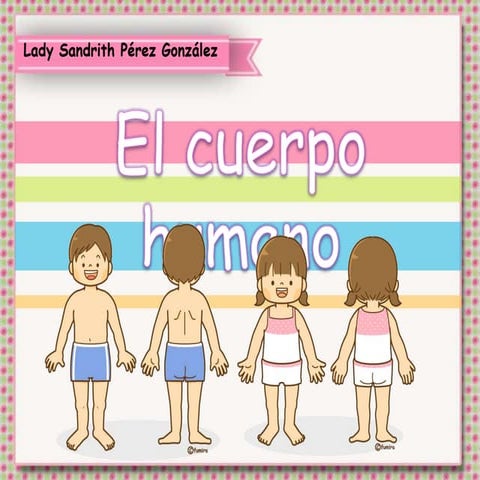 El cuerpo humano