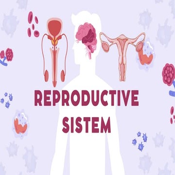 el cuerpo humano.pdf