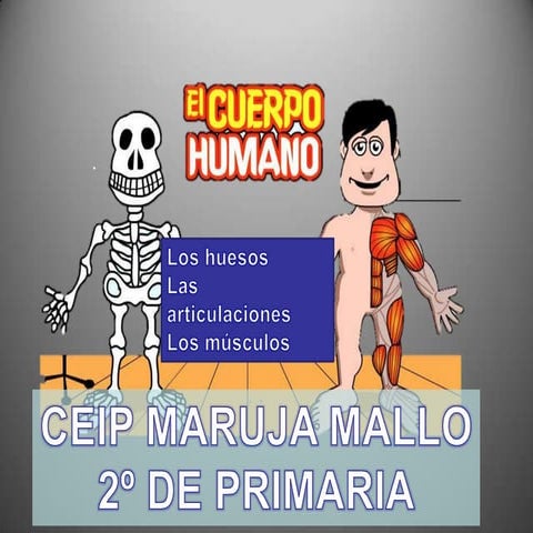 El cuerpo humano (1)