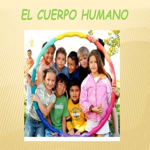 El cuerpo humano1