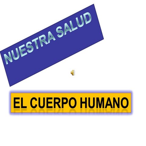 Elcuerpohumano11