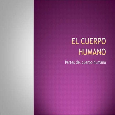 El cuerpo humano 8vo.