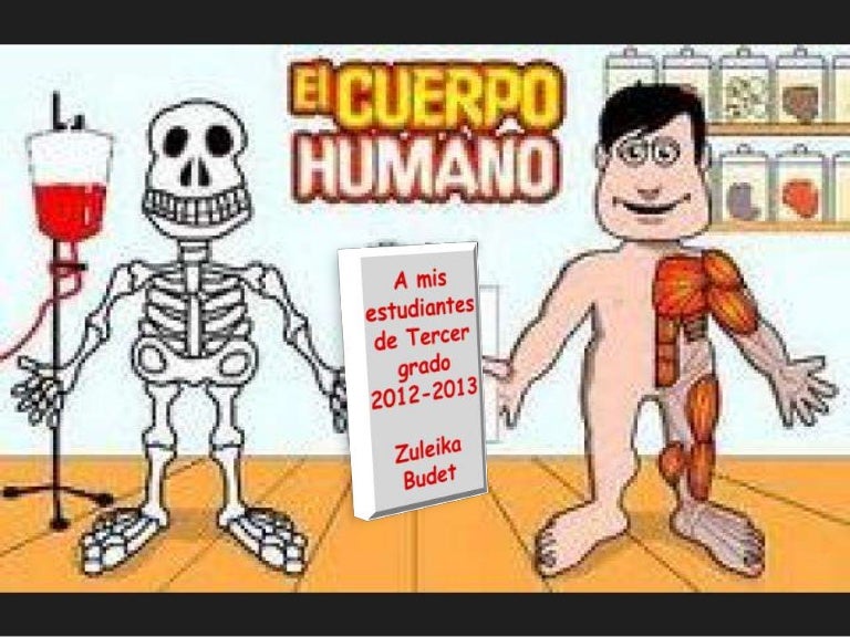 Que Pasaria Si No Tuvieramos Sistema Nervioso