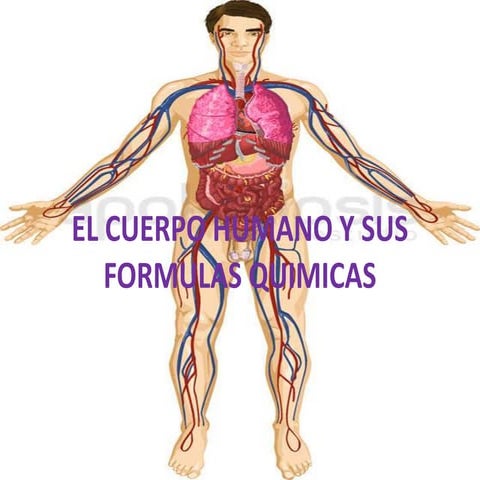 MI CUERPO HUMANO Y SUS FORMULAS QUIMICAS | DOCX