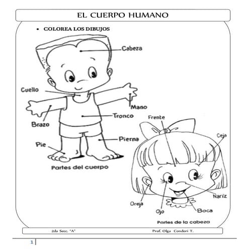 El cuerpo para pintar