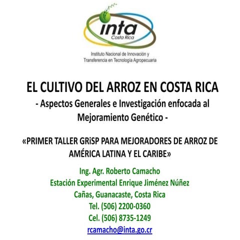 El cultivo del arroz en Costa Rica