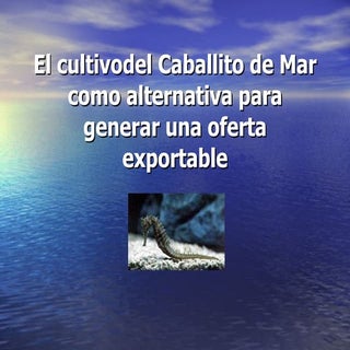 El cultivo del caballito de mar