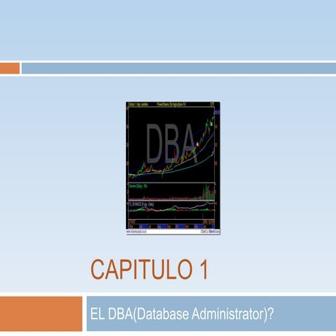 El dba(administracion de base de datos)