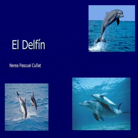 El DelfíN