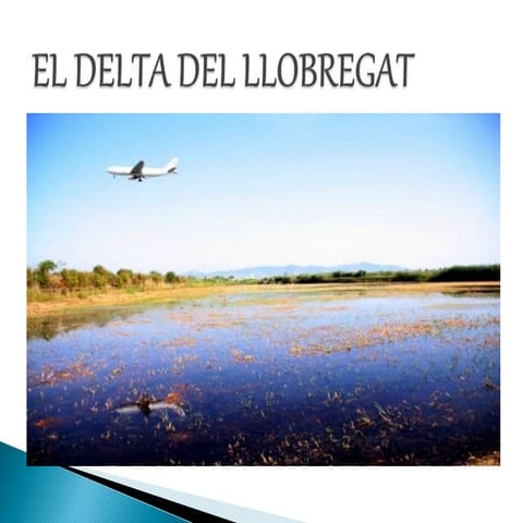 El delta del llobrega tinstaladors