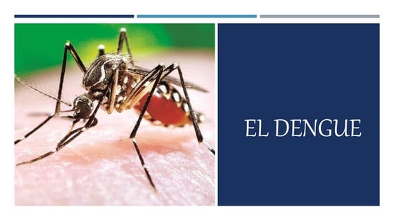 TRIPTICO DENGUE.docx