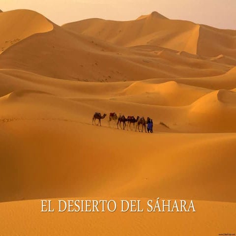 El Desierto del Sáhara - LOS TUAREG Y EL ANTIGUO EGIPTO