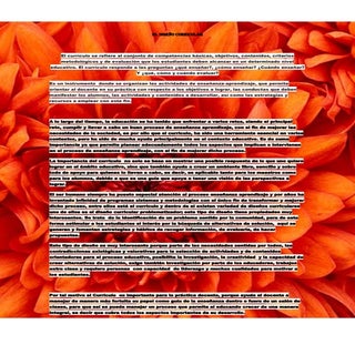 El diseño curricular