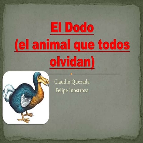 El dodo | PPT