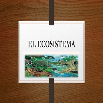 Ecosistema presentación | PPT