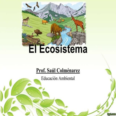 El Ecosistema | PPTX