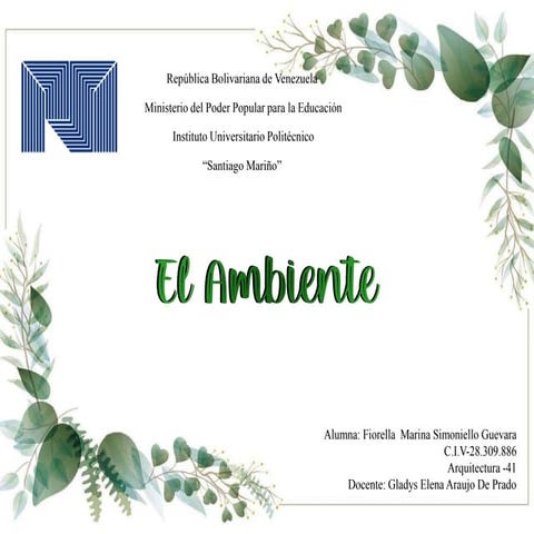 Electiva - Ambiente.pdf