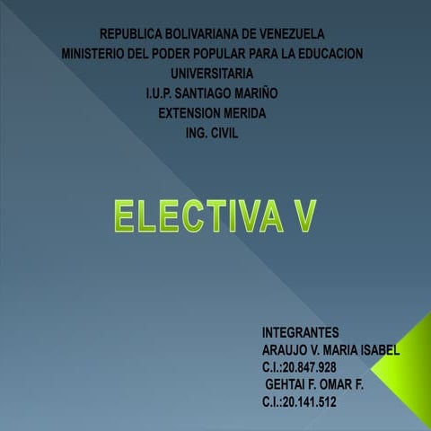 Electiva v