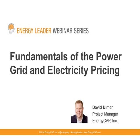 Fundamentals of the Power Grid and Electricity Pricing