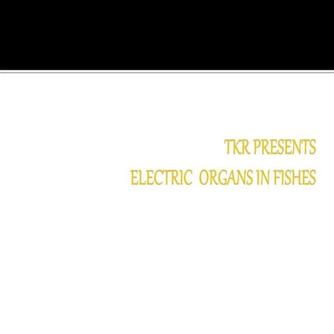 Electric  organs in fishes 1