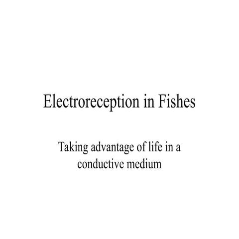 electroreception in fish and their functions.ppt