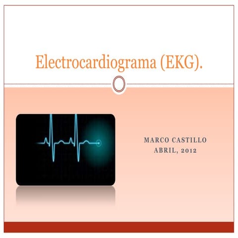 Electrocardiograma (ekg)