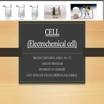 Electrochemical cell