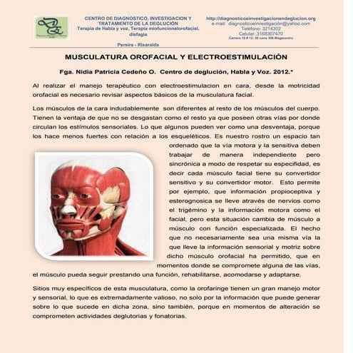 Electroestimulacion fonoaudiología