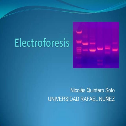 Electroforesis