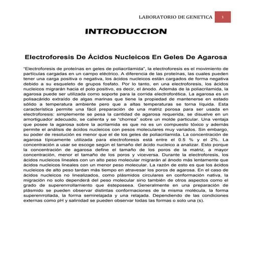 Electroforesis de Acidos Nucleicos en Geles de Agarosa - Genetica UNAH