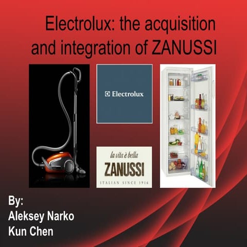 Electrolux: the acquisition and integration of ZANUSSI