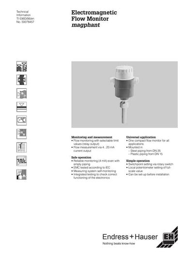 Electromagnetic Flow Monitor Magphant
