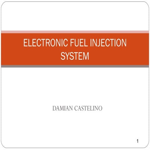 Electronic fuel injection system 