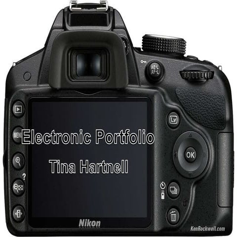 Electronic portfolio