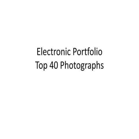 Electronic portfolio - Top 40