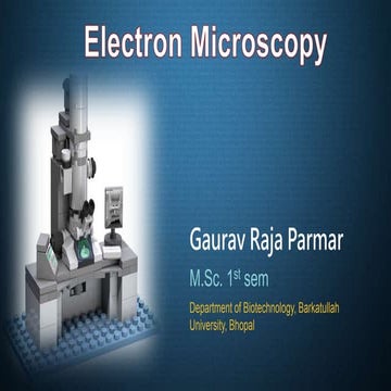 Electron microscope - SEM and TEM