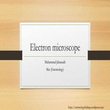 Electron microscope | PPTX